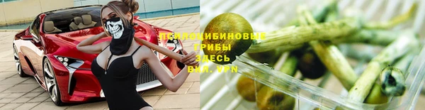 тгк Аркадак