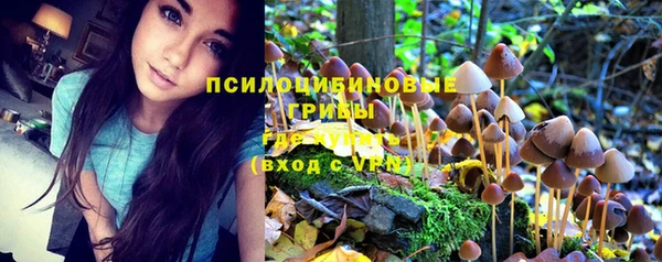 гашиш Алзамай